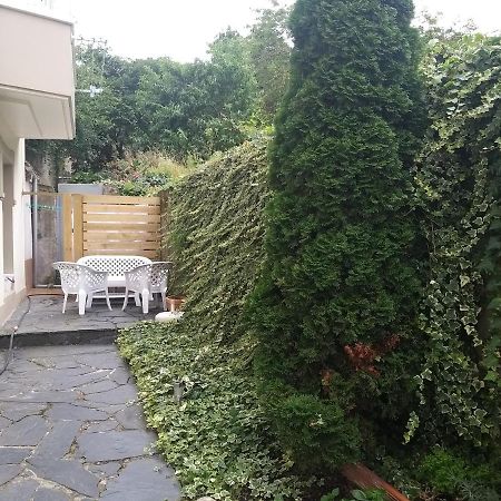 Apartamento Con Pequeno Jardin En El Centro Ferrol Ngoại thất bức ảnh